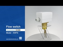 Commutateurs de débit de mesure du débit de liquide avec élément de détection à pagaie